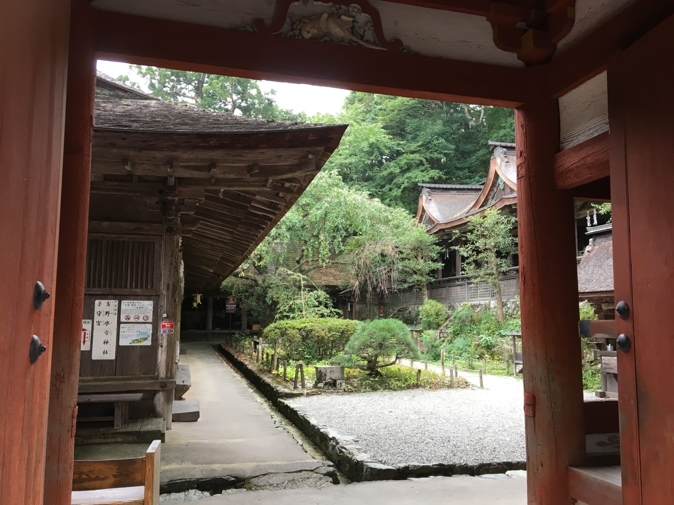 Yoshino Okusenbon thumbnail