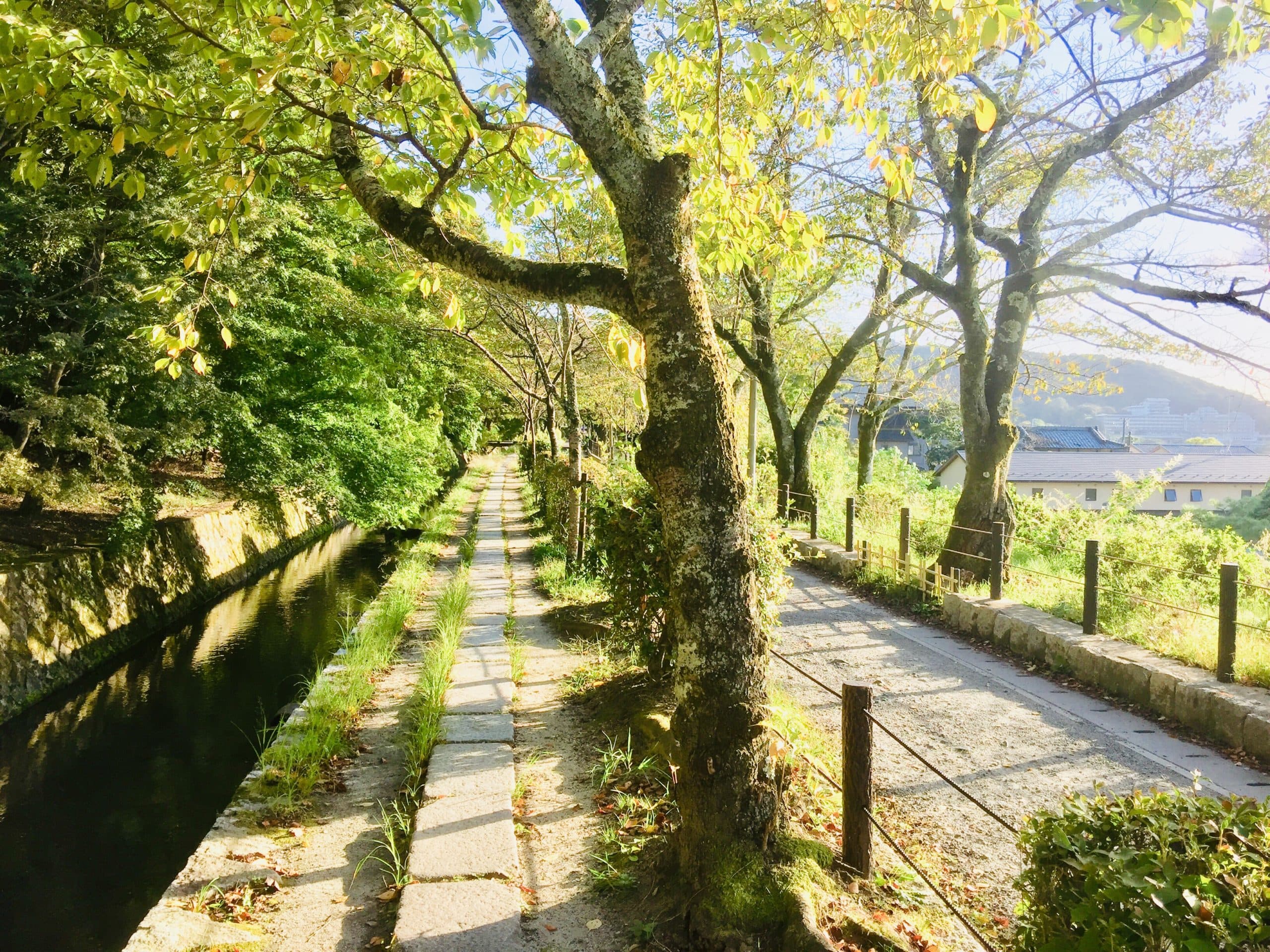 Kyoto - le Chemin de la philosophie thumbnail