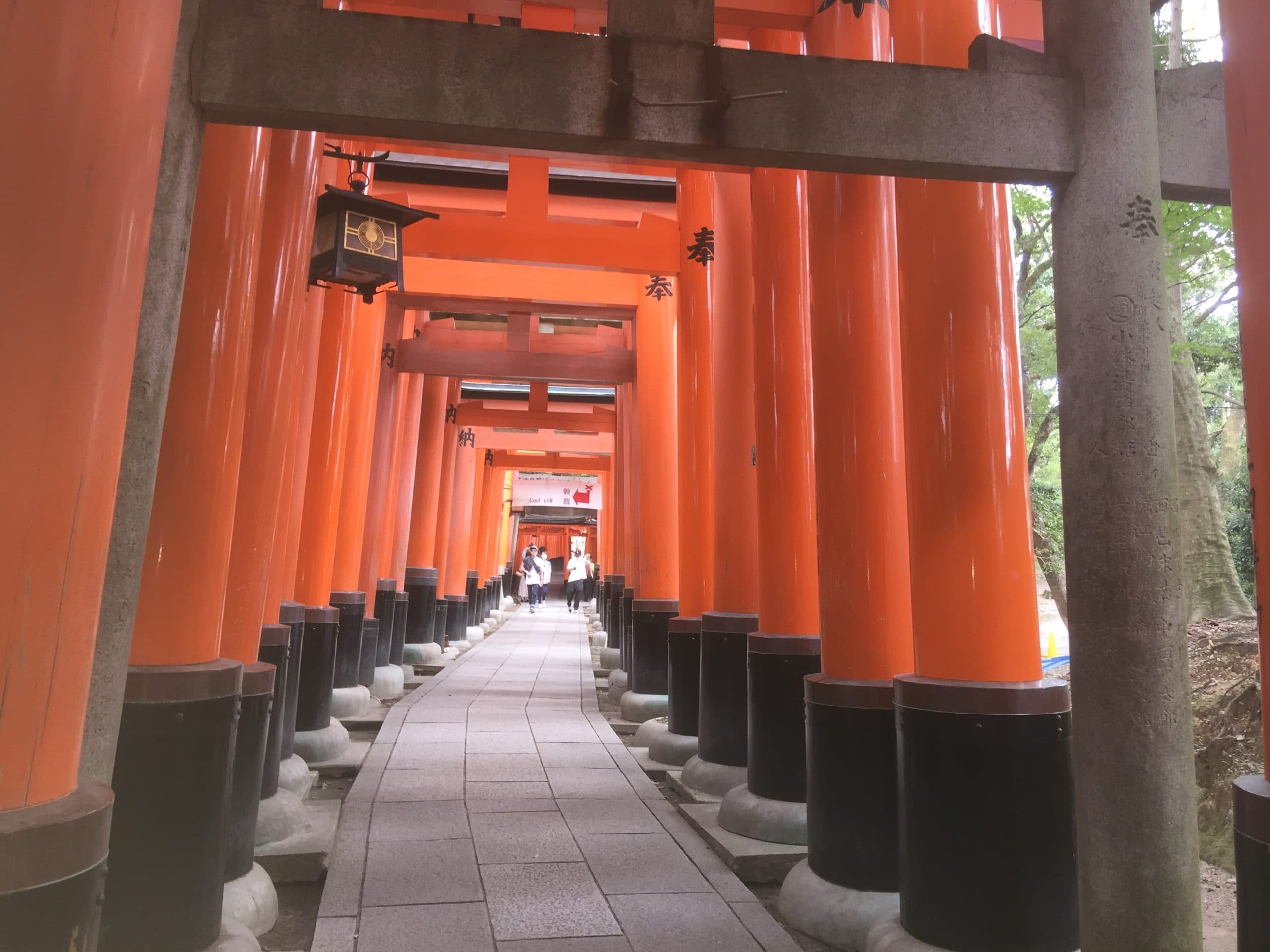 Kyoto - Fushimi Inari-taisha thumbnail